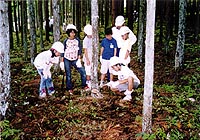 緑の少年団による間伐作業